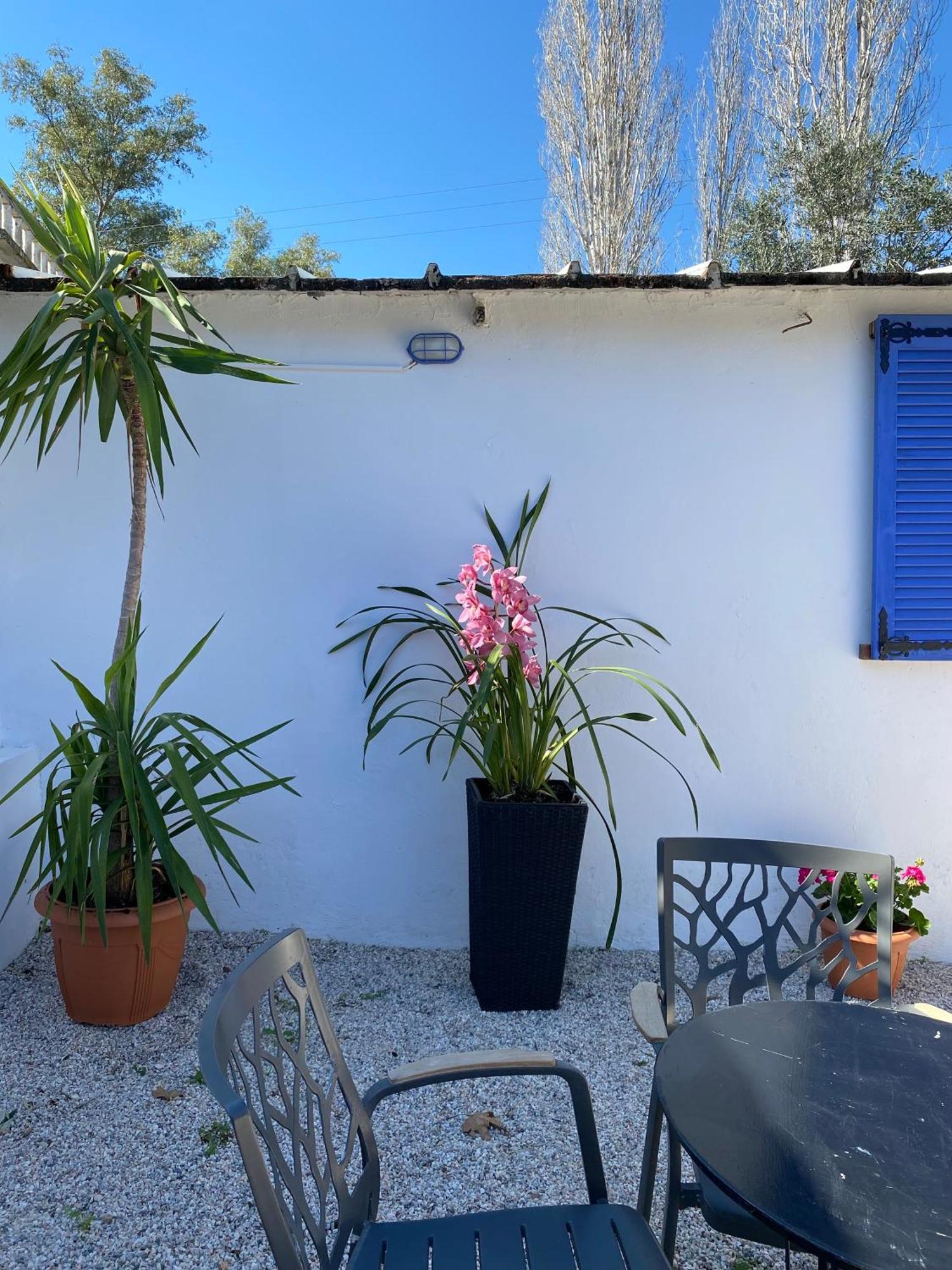 The Horsebox A Tiny Souda